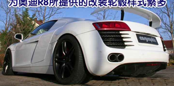 奧迪(進口) R8